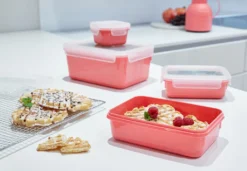 Emsa CLIP & CLOSE Colour Edition Grün 4er Set (0,2 / 0,55 / 0,8 / 2,2) 22 Emsa CLIP & CLOSE Colour Edition Grün 4er Set (0,2 / 0,55 / 0,8 / 2,2) -Mepalhom Geschaft 475169b8a6c800939198544e056083d9