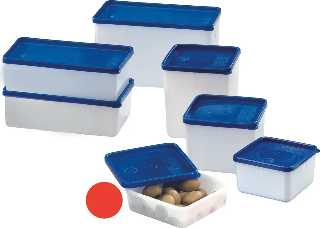 Westmark 4 Gefrierdosen "Trio" 0,25 L 3 Westmark 4 Gefrierdosen "Trio" 0,25 L