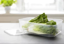 Plast Team Gefrierdose Helsinki 1,5 Liter Rechteckig -Mepalhom Geschaft 5e8d3c5984e3f93a5a1a2bde7d1ade71