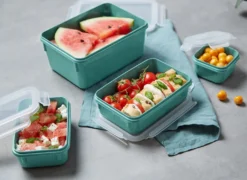 Emsa CLIP & CLOSE Colour Edition Grün 4er Set (0,2 / 0,55 / 0,8 / 2,2) 23 Emsa CLIP & CLOSE Colour Edition Grün 4er Set (0,2 / 0,55 / 0,8 / 2,2) -Mepalhom Geschaft a74fee1907346e1198e6b98f2863a95b