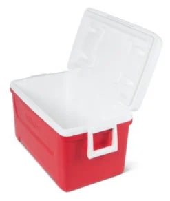 Igloo Kühler Laguna 48passiv 45 Liter Rot 12 Igloo Kühler Laguna 48passiv 45 Liter Rot -Mepalhom Geschaft c51bb359abd11eef7d7cfe0cb9f15020
