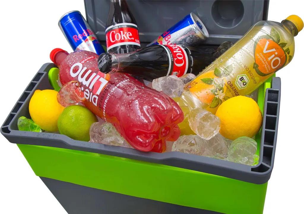 Steinborg Kühlbox 30 Liter | Warmhaltebox | Praktischer Tragegriff | Eco-Modus | 12 V/ 230 V Stromversorgung 7 Steinborg Kühlbox 30 Liter | Warmhaltebox | Praktischer Tragegriff | Eco-Modus | 12 V/ 230 V Stromversorgung – Bild 5